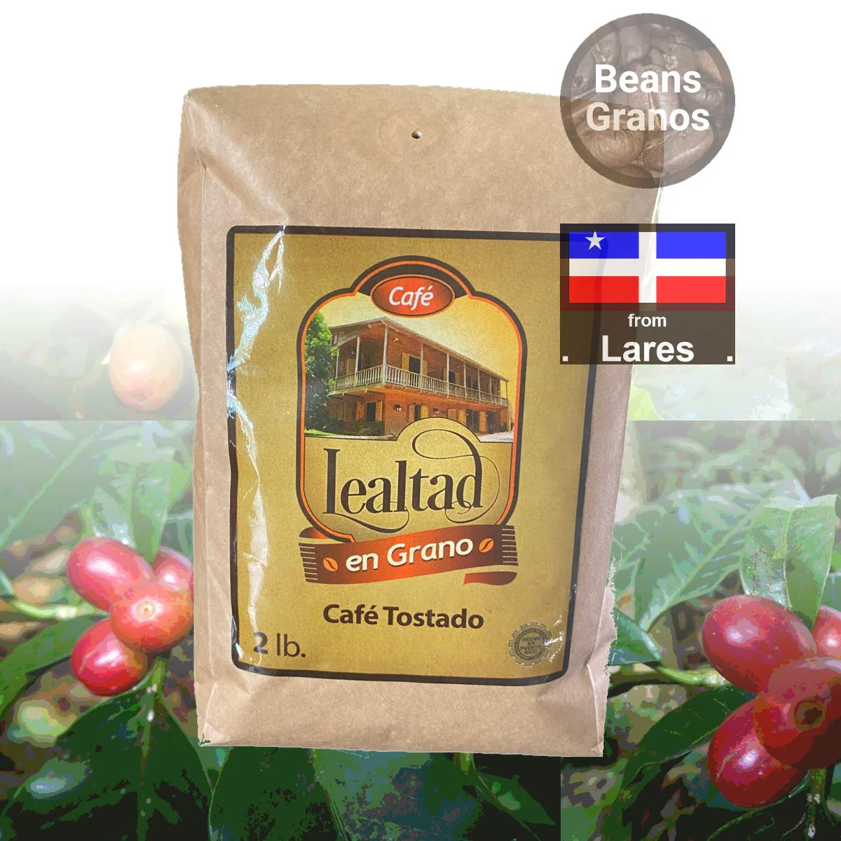 Café Hacienda Lealtad Gourmet Coffee Beans