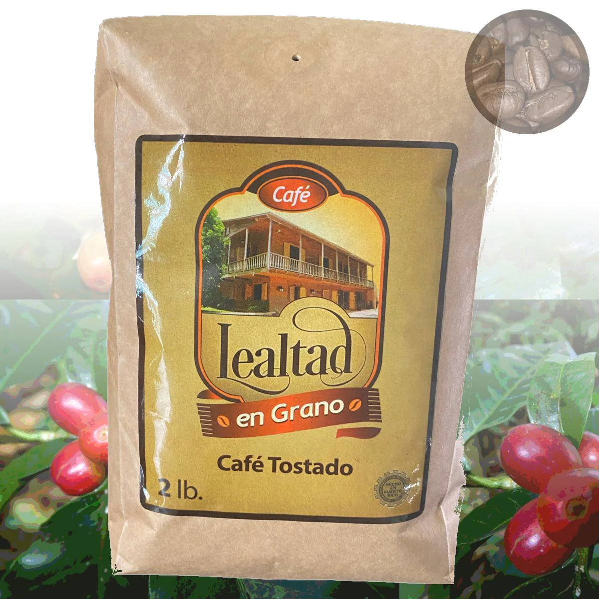Café Hacienda Lealtad Gourmet Coffee Beans - Image 2